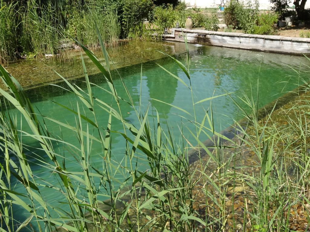 Jardin De Canaan Saint-Julien-de-Chédon Екстериор снимка